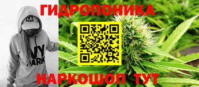 гидра Обь