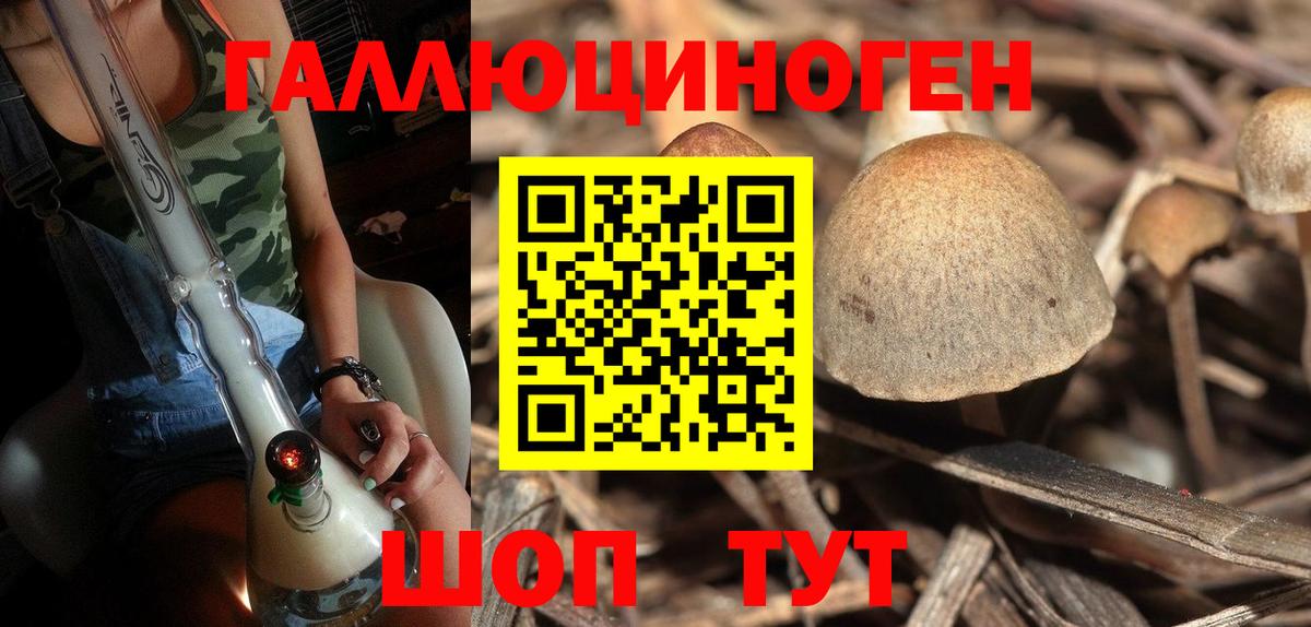 Галлюциногенные грибы мухоморы Сергиев Посад