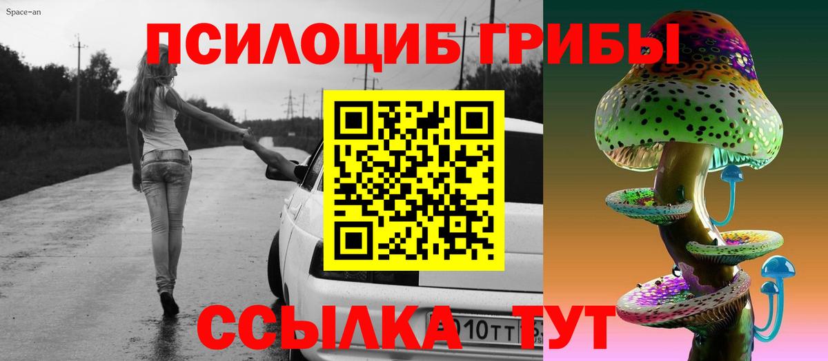 Псилоцибиновые грибы Cubensis  Вход с VPN  Псилоцибиновые грибы мицелий  Сергиев Посад 